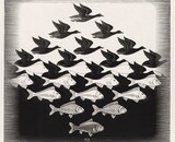 Wie was M.C. Escher eigenlijk?