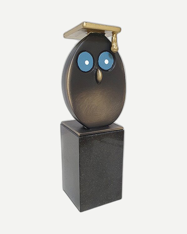 Corry Ammerlaan Beeld Wijze Uil Geslaagd - gefeliciteerd (incl. geschenkdoos & verzending)
