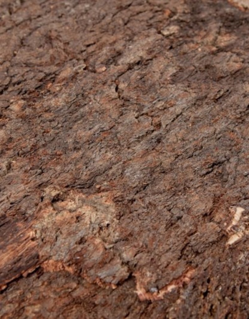 Terrarium Cork back wall "Bark" 60 x 90 x 2cm