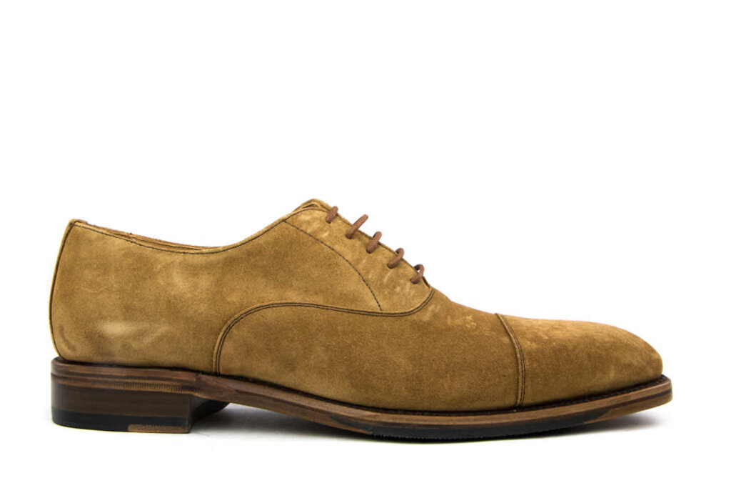 Berwick Berwick Lace Shoes Softy Cognac Suede