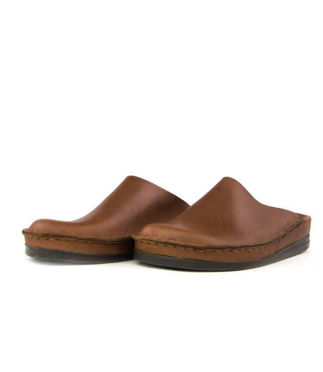 Rembrandt Muil Bruin