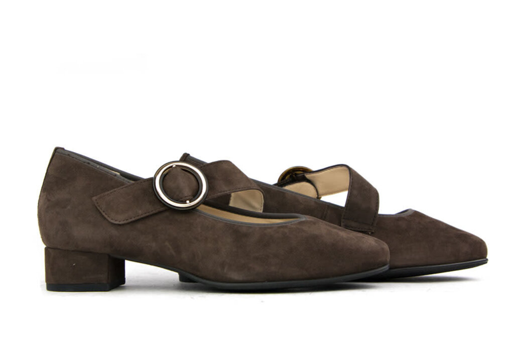 Hassia Hassia Strap Shoes Darkbrown Suede