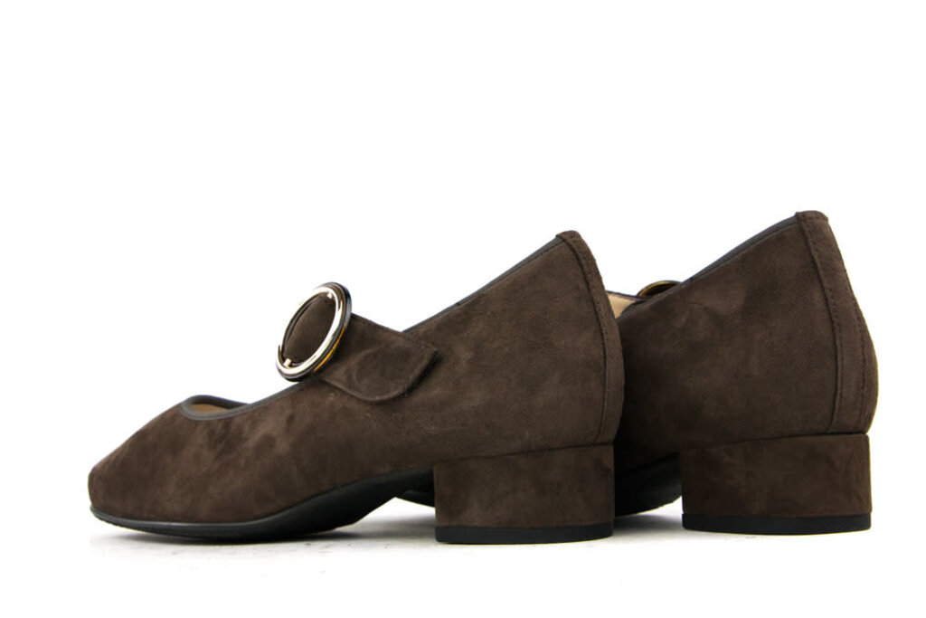 Hassia Hassia Strap Shoes Darkbrown Suede