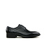Ecco Veterschoen Citytray Black Santiago