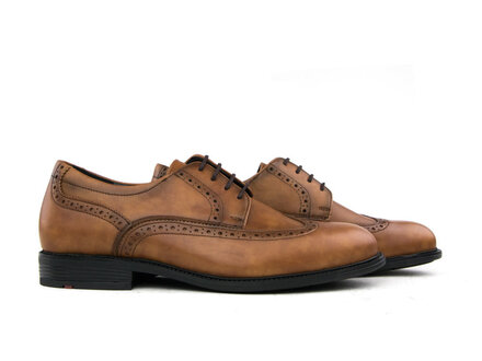 Lloyd Lloyd Veter Broque Kenia Cognac Lloyd Lloyd Veter Broque Kenia Cognac