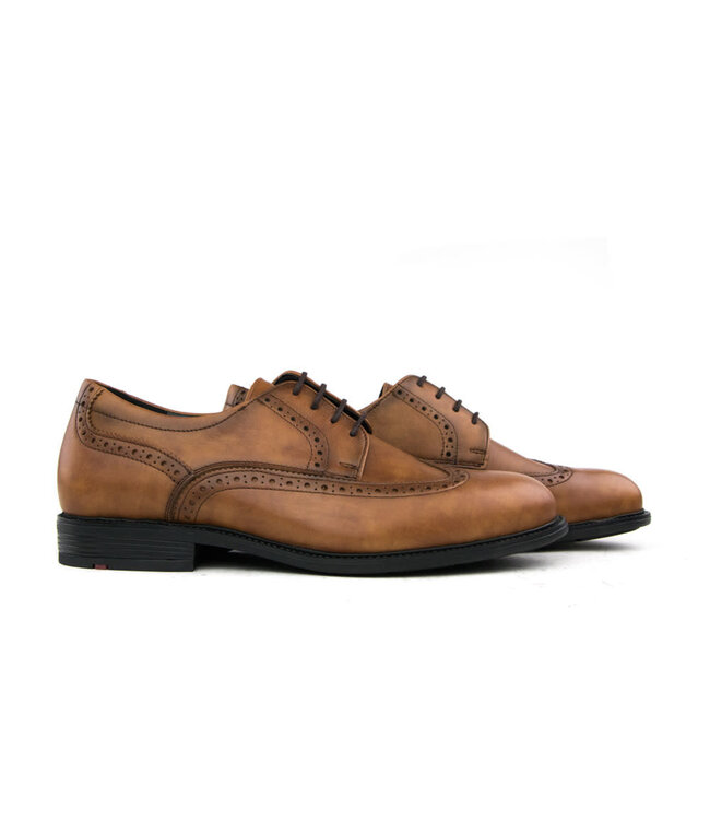 Lloyd Veterschoen Broque Kenia Cognac
