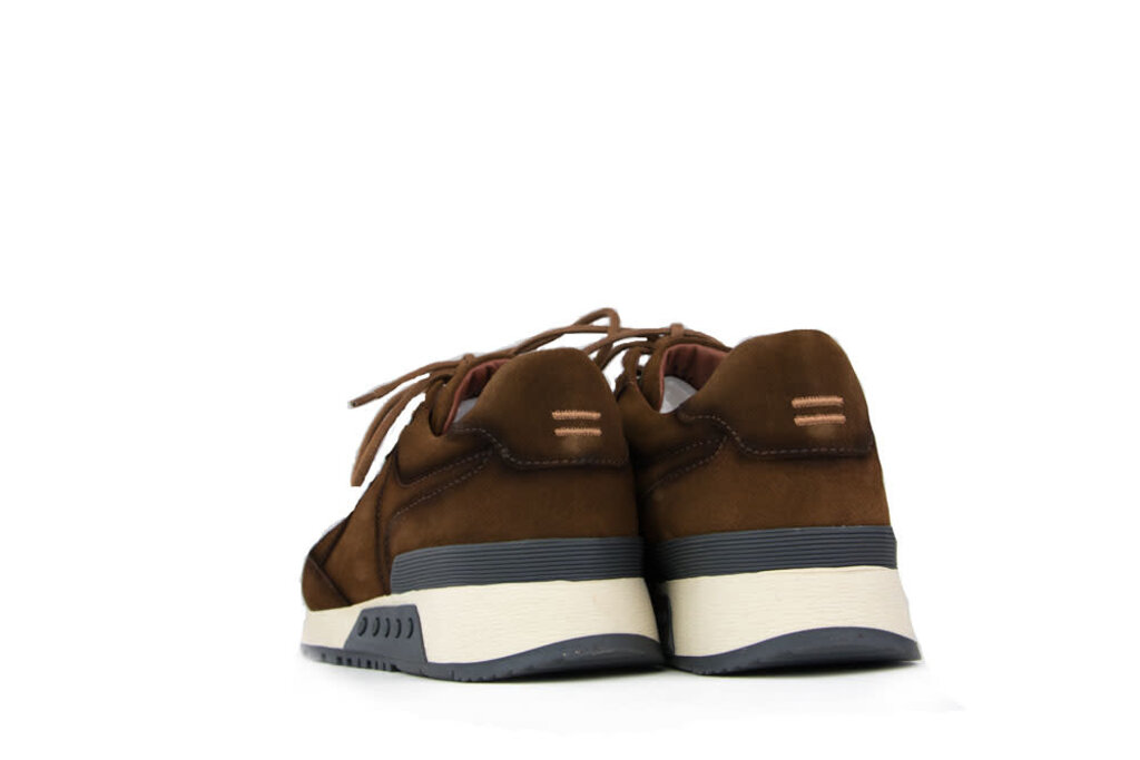 Greve Greve Sneaker Haarlem K Brulee Shade