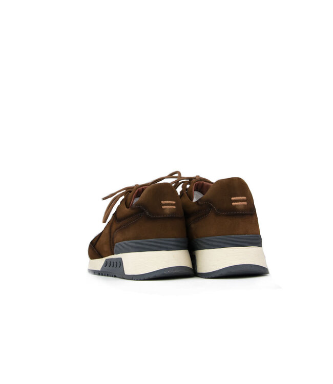 Greve Sneaker Haarlem K Brulee Shade