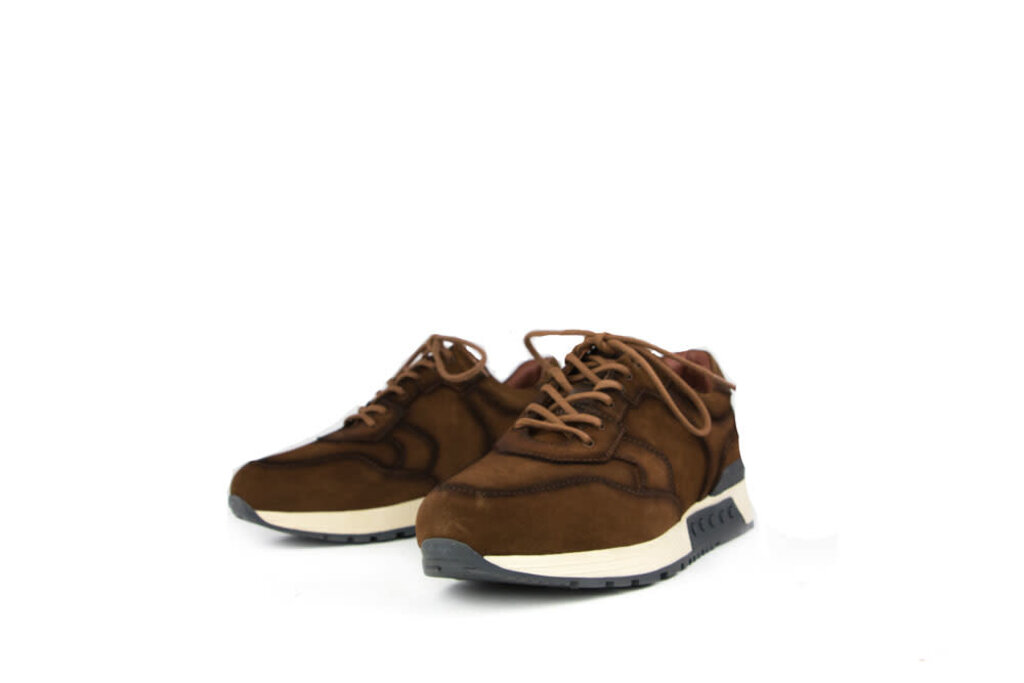 Greve Sneaker Haarlem K Brulee Shade