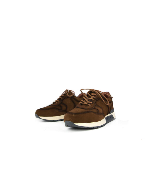 Greve Sneaker Haarlem K Brulee Shade