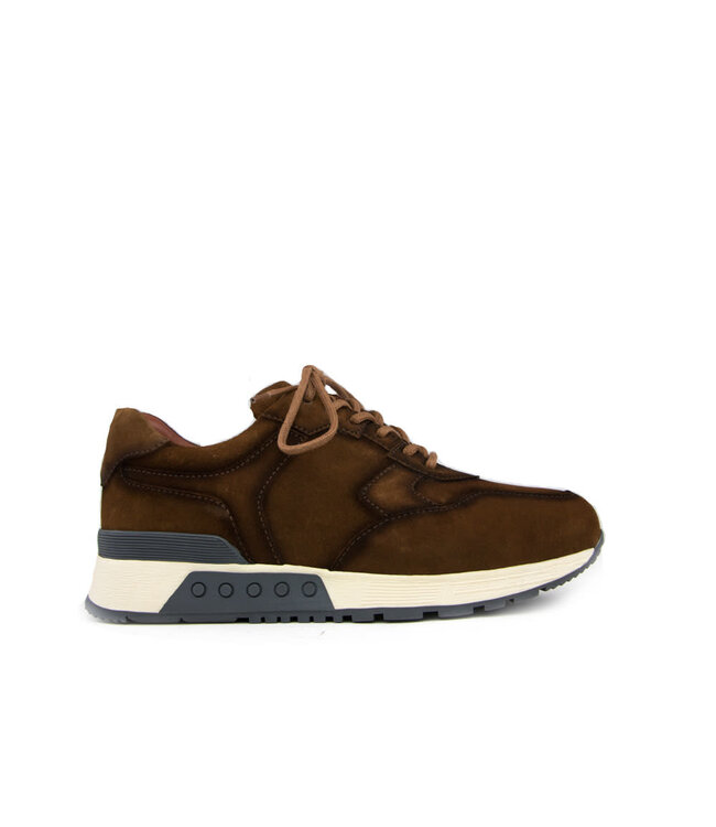 Greve Sneaker Haarlem K Brulee Shade