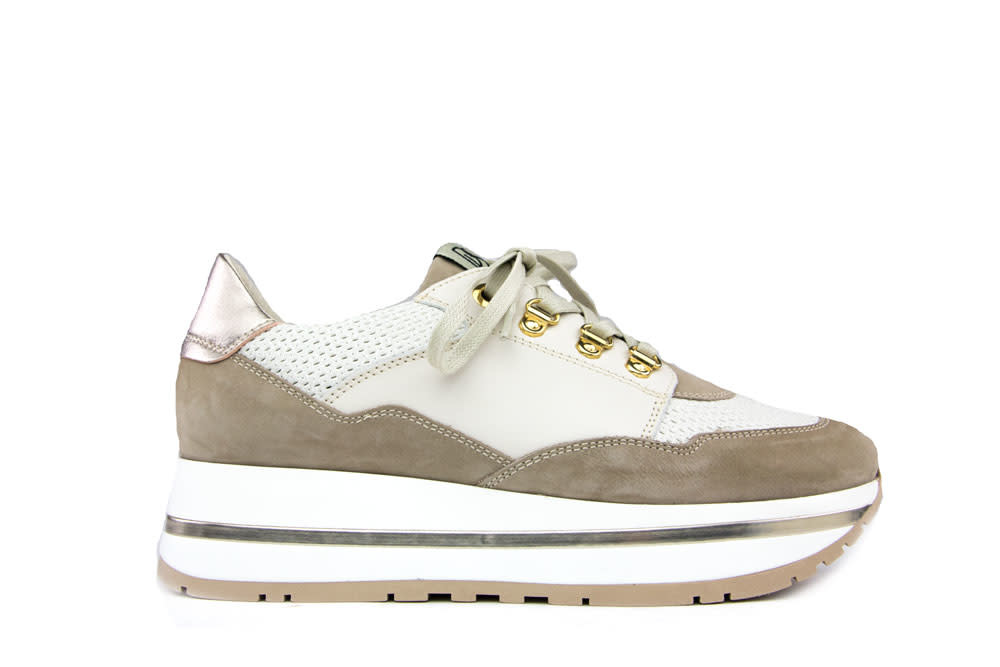 DL-Sport Sneaker Tasso Elefante Avorio - Steenbergen Schoenen