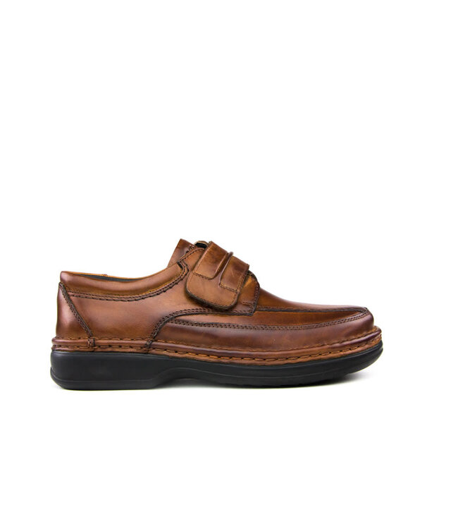 Ara Klittenband Westin Cognac