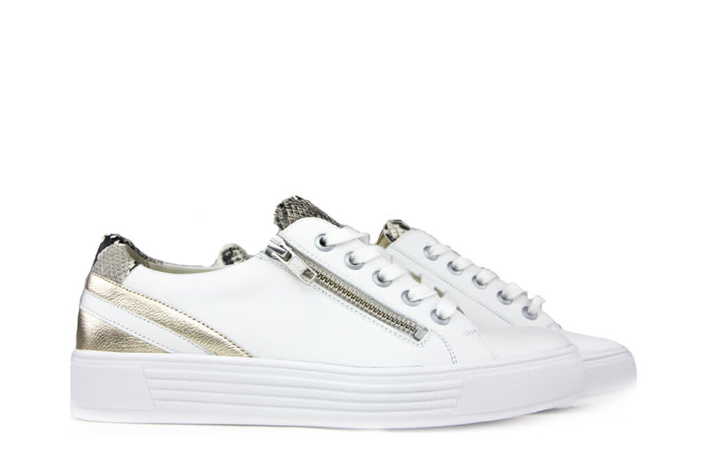 Solidus Solidus Sneaker Hazel White Oro Grey