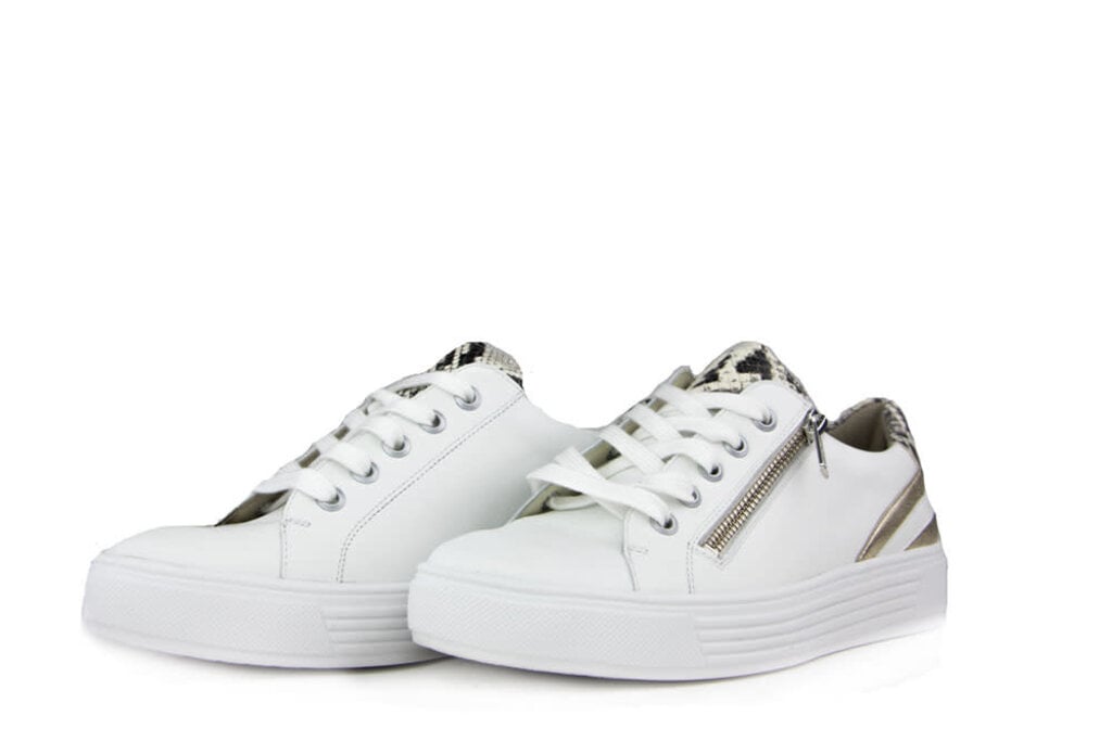 Solidus Solidus Sneaker Hazel White Oro Grey