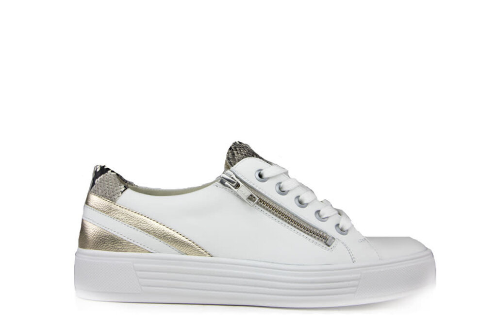 Solidus Solidus Sneaker Hazel White Oro Grey