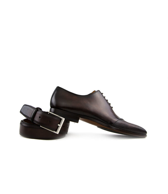 Belt Wind Caoba Mid Brown