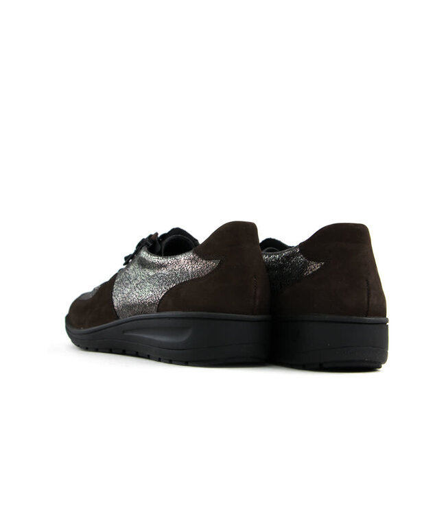 Solidus Lace Kate Nut Ardesia