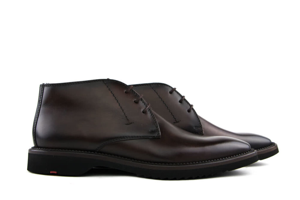 Lloyd Lloyd Lace-up Shoes Marcello Cigar