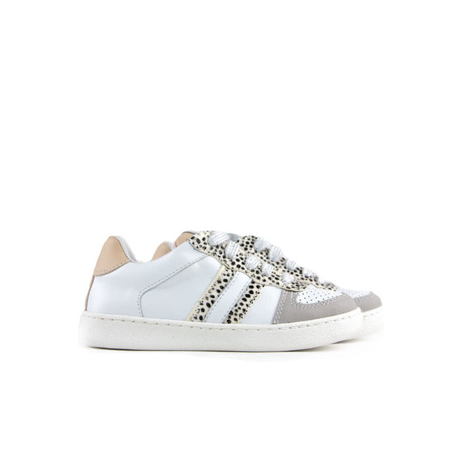 CLIC - Steenbergen Schoenen