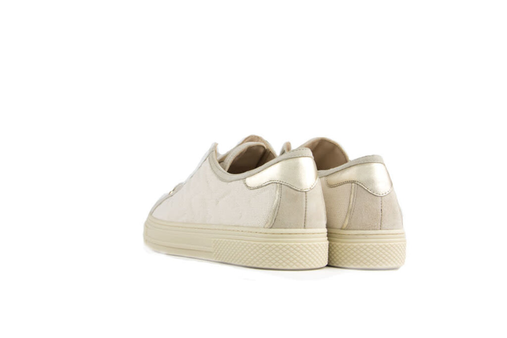 Hassia Hassia Sneaker Skin Platin