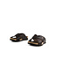 Slipper Salman C13 Marron Brown