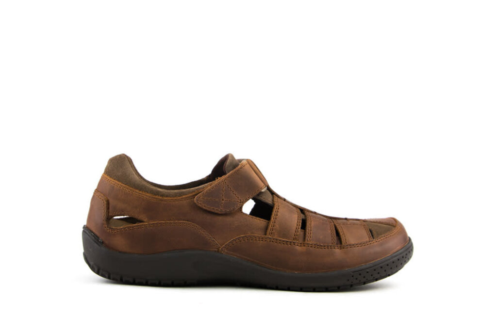 Panama Jack Sandal Meridian Basics C4 Cuero Bark I Worldwide