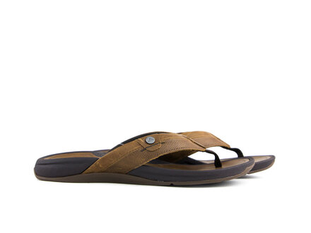 Reef Reef Pacific Le Java Reef Reef Pacific Le Java