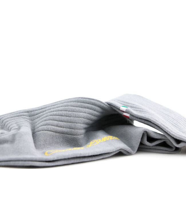 Carlo Lanza Socks Casual Grey