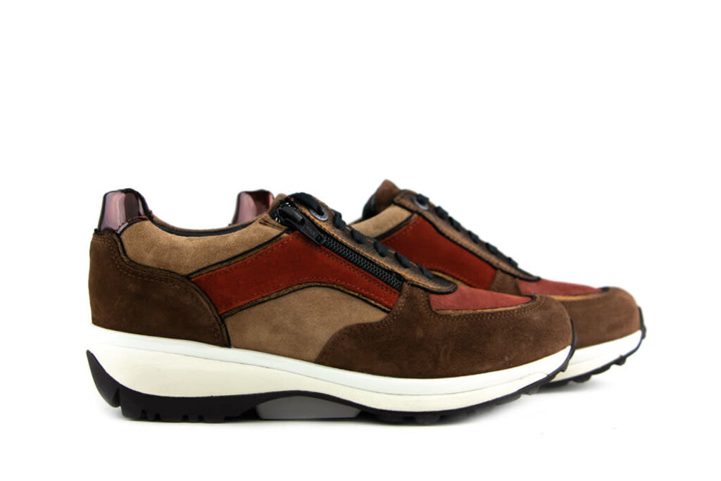 Xsensible Xsensible Sneakers Bruin Lucca Bronze