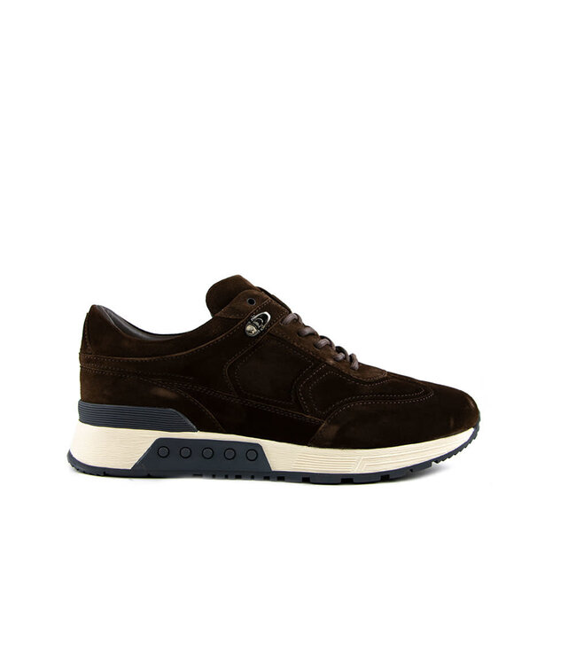 Greve Sneaker Haarlem K Mustang Talca