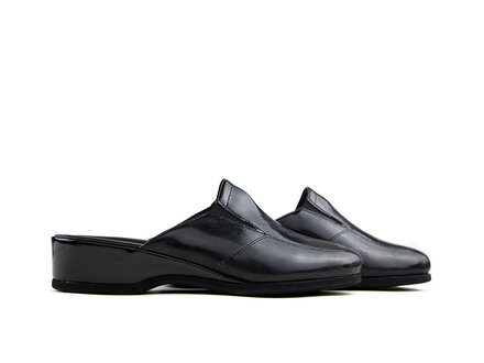 Rohde Rohde Muil Schwarz Lak