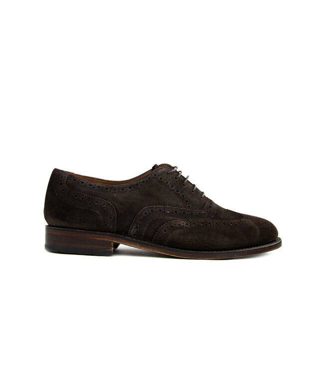 Van Bommel Broque Darkbrown Suede