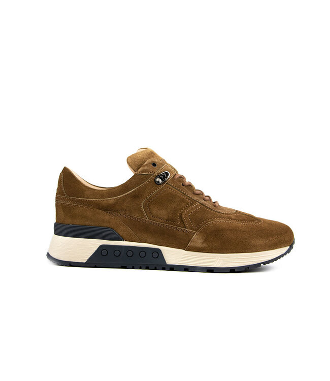 Greve Sneaker Haarlem Alce Talca