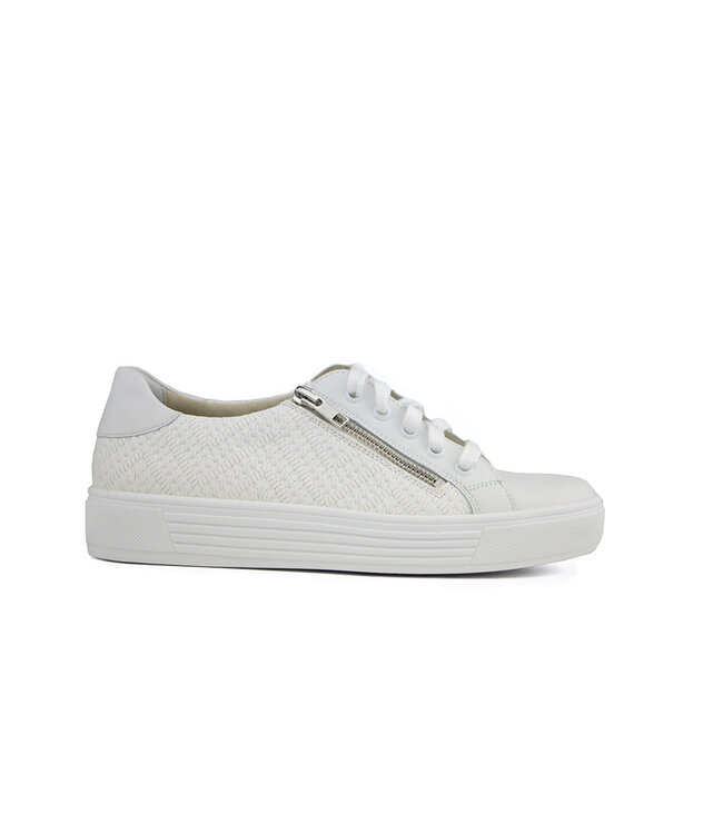 Solidus Sneakers Hazel Wit Davidson H