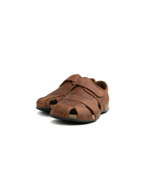 Panama Jack Sandal Fletcher C5 Cuero Bark