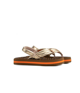 Reef Reef Little Ahi Wild Gold