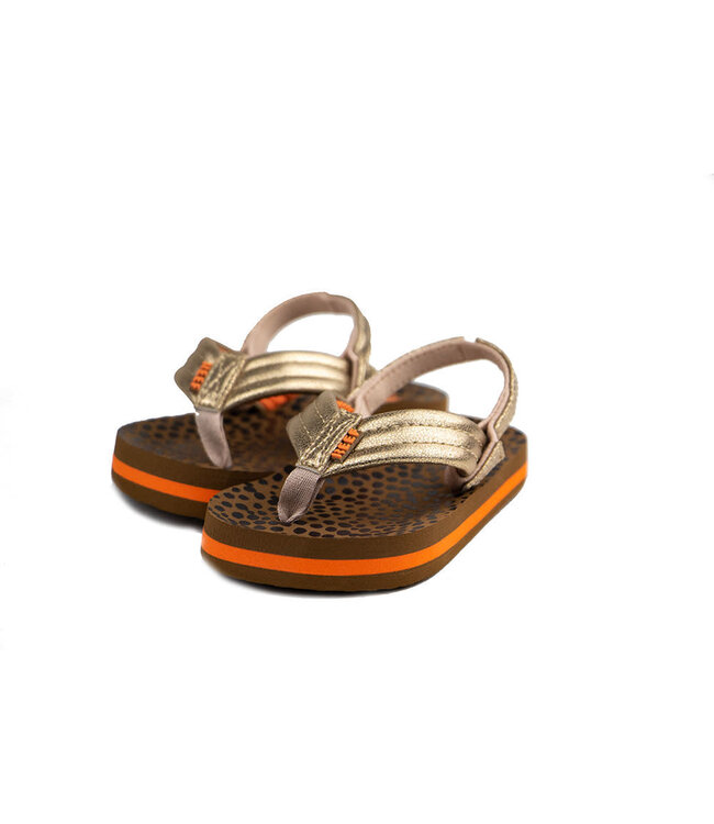 Reef Little Ahi Wild Gold