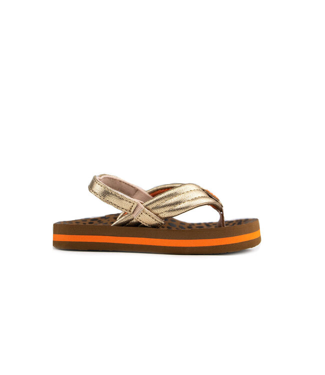 Reef Little Ahi Wild Gold