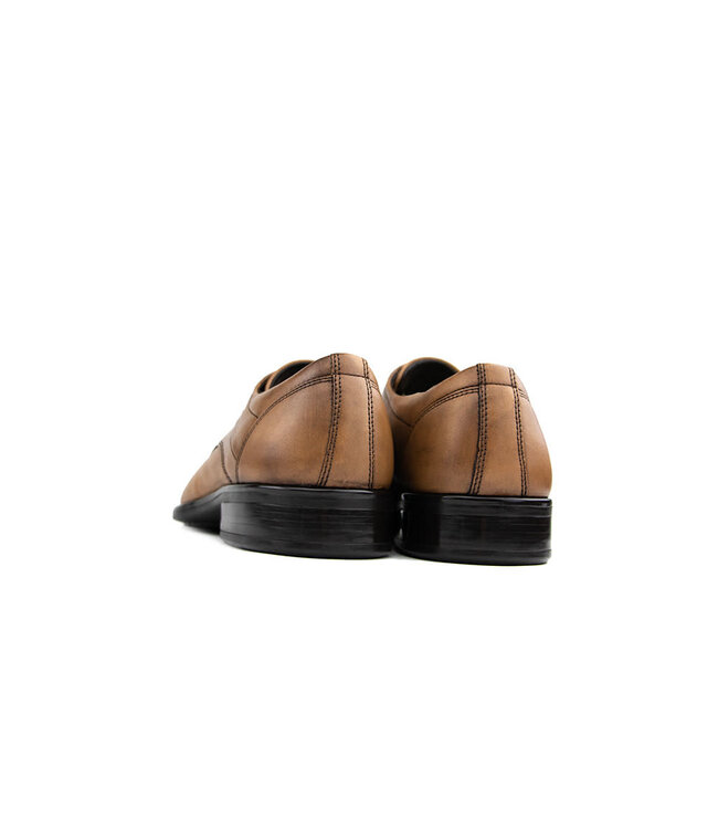 Ecco Citytray Amber The Natural