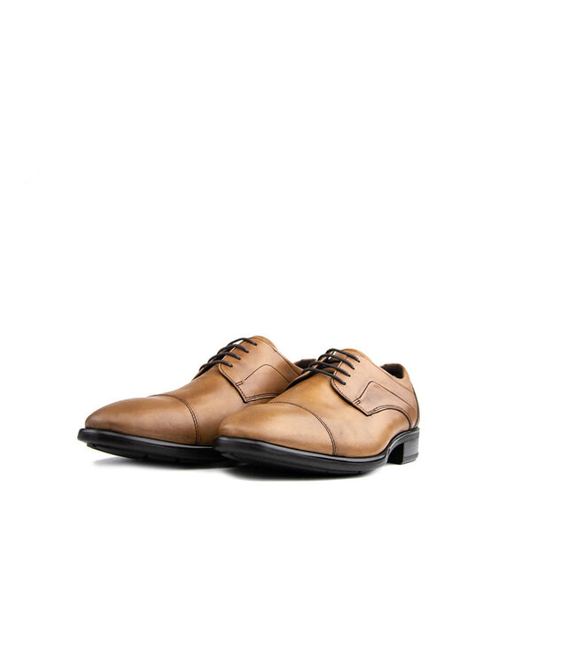 Ecco Citytray Amber The Natural