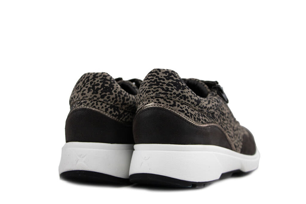 Xsensible Xsensible Stretchwalker Sneaker Lima Brown Fantasy