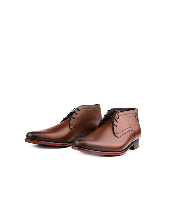 Floris van Bommel De Draver 01.06 D.Cognac