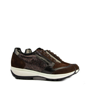 Xsensible Xsensible Sneaker Wembley Brown Fantasy G
