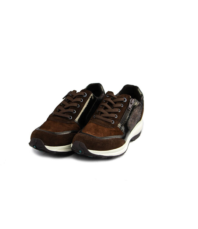 Xsensible Sneaker Wembley Brown  Fantasy