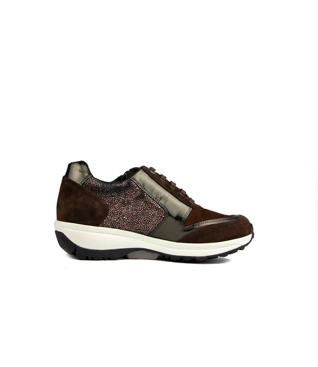 Xsensible Sneaker Wembley Brown  Fantasy