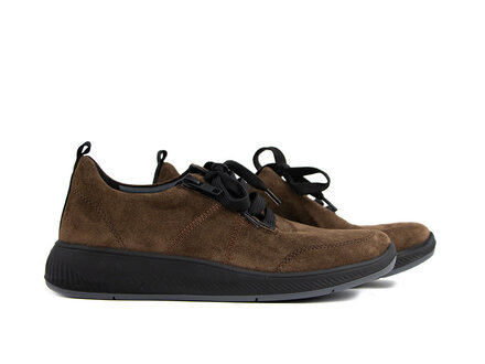 Solidus Solidus Sneaker Halea Kaffee H Solidus Solidus Sneaker Halea Kaffee H