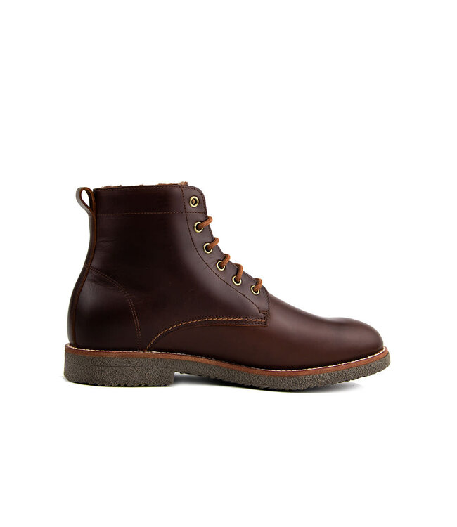 Panama Jack Glasgow Igloo C4 Cuero Bark