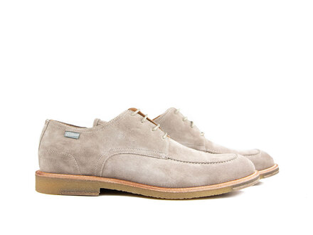 Floris van Bommel Floris van Bommel De Lexer SFM-01.07