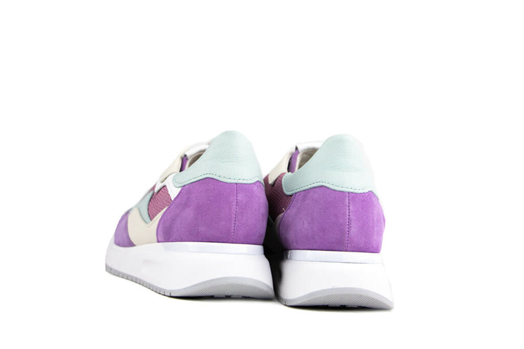 Gabor Gabor Sneaker Violet Creme Mint